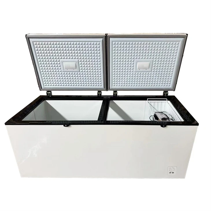 85mm Foaming Thickness Normal 12v/24v Solar Deep Freezer Double Doors BD/BC-608 factory